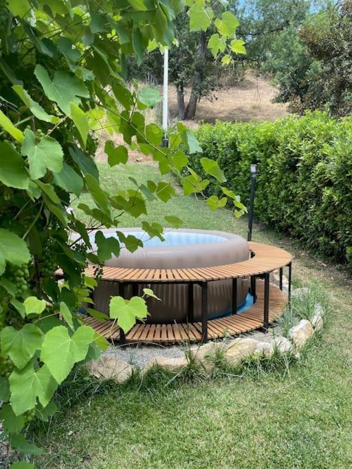Holiday home Casa Barulli - Tuscany *