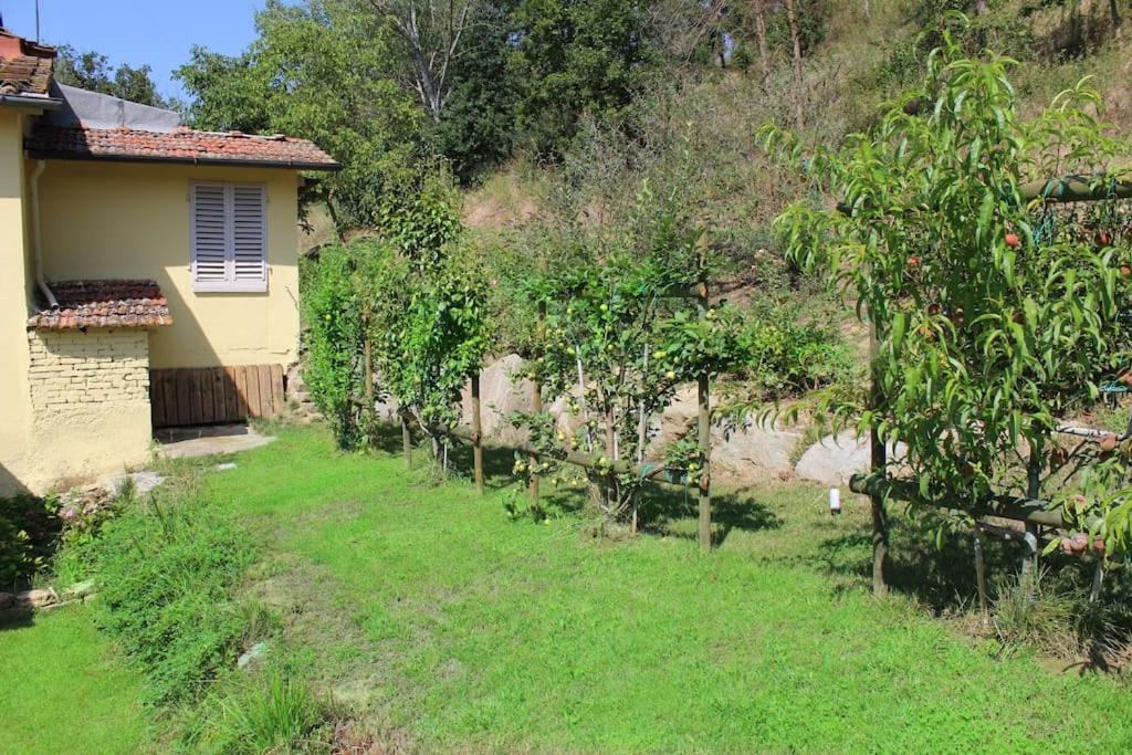 Ferienhaus Casa Barulli - Tuscany *