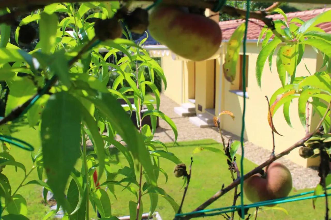Holiday home Casa Barulli - Tuscany *